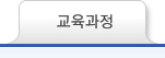 교육과정